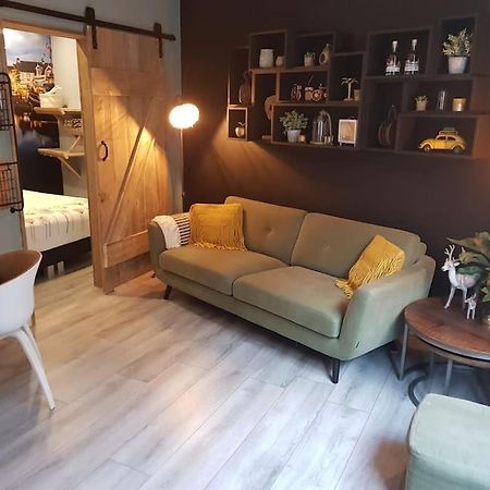 Appartement De Oliekan Medium 莱米尔 外观 照片